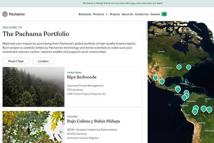 Cada crédito de carbono equivale a la vida de un árbol que captura en promedio una tonelada de CO2, y puede costar entre US$10 y US$30.