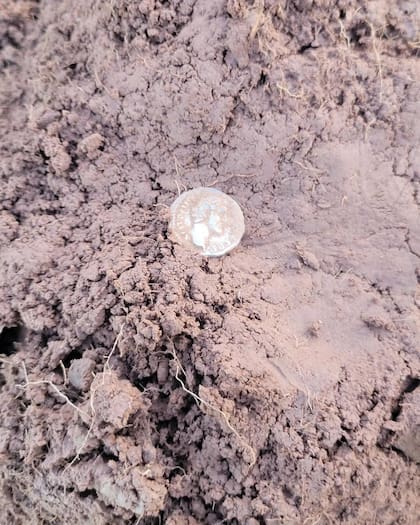 Cada denario representaba el sueldo diario de un legionario