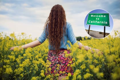 Cada distrito escolar decide la fecha del Spring Break para los colegios del sistema K-12