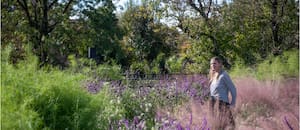 Claves de diseño de jardines para lograr espacios con personalidad