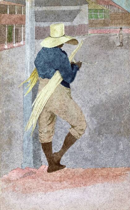 Cada esclavo valía unas £30, equivalente a más de £3.000 o US$4.000 de hoy. (Esclavo pelando caña en Jamaica, pintado por el artista inglés William Berryman, entre 1808-1816)
