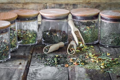 Cada especie tiene un modo de secado diferente que influye en la calidad final del té