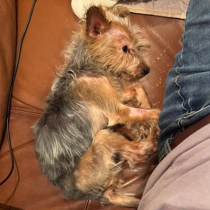 Cada paso que daba la hacía gritar de dolor.