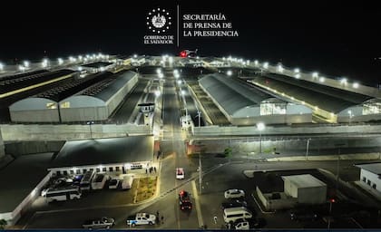 Cada prisionero en CECOT dispone de aproximadamente 0,6 metros cuadrados de espacio, menos del recomendado para el ganado en algunos países