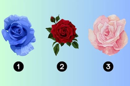 Cada rosa determinará qué atributos tiene cada persona para conquistar a su media naranja