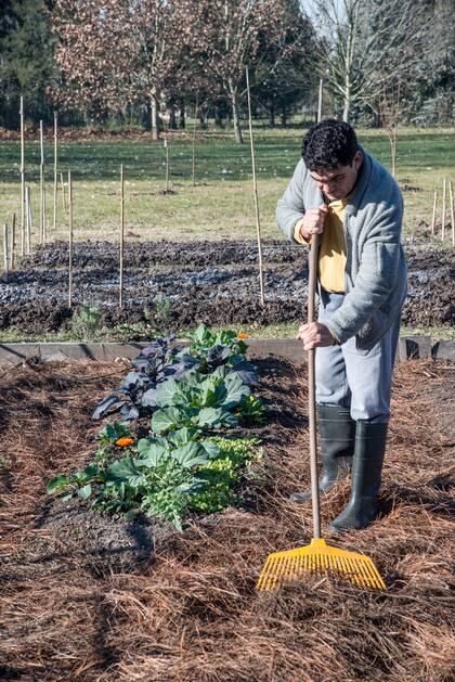 Cada variedad de especie deja distintos residuos en la tierra: tallos, hojas, flores secas, frutitos. Al descomponerse, dejan residuos orgánicos en el suelo.