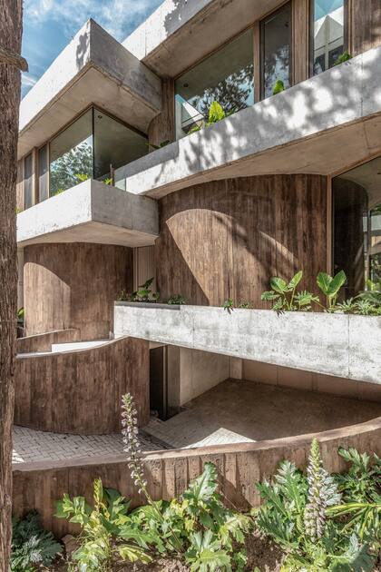 Cada ventana tiene un cantero generado por las vigas invertidas. El paisajismo estuvo a cargo de Lucila: para este sector eligió, por ejemplo, wambes, alocasias y hiedras.