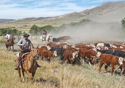 Cada vez faltaba menos para llegar a casa.