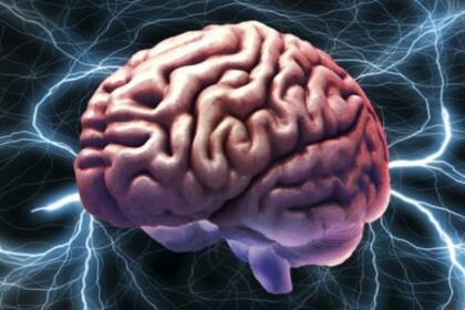 Cada vez hay evidencias más fuertes de que el placebo puede activar la habilidad natural del cerebro de producir las sustancias químicas que necesitamos