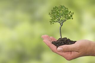 ¿Qué huella querés dejar?