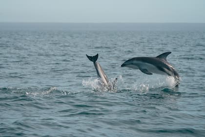 Cada vez más viajeros viajan en esta época, dedicados al turismo de naturaleza
