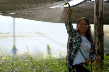 Cada vez que Ubaldina toca la tierra, siente que está con la Pachamama.