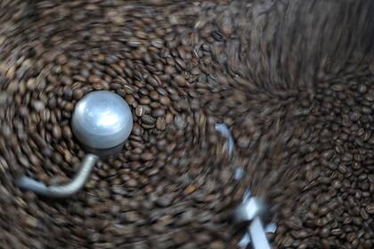 El proyecto nació hace cinco años, ideado por Lozano y Conte