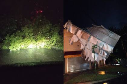 Caídas de árboles y voladuras de techos, algunos inconvenientes que dejó el temporal en la ciudad de Chascomús