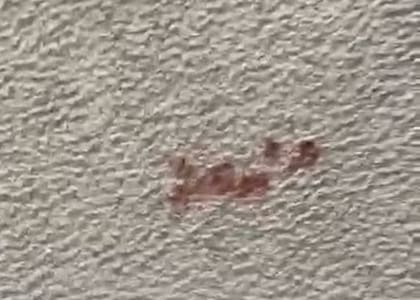 Caitlin encontró manchas de sangre en la alfombra y en parte de su casa