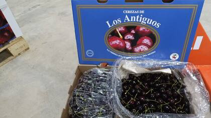 Caja lista para la exportación