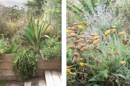 Cajones con canteros a los costados de la pileta.