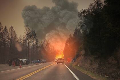 Cal Fire movilizó 45 camiones y equipos especializados para responder a posibles incendios en el sur de California
