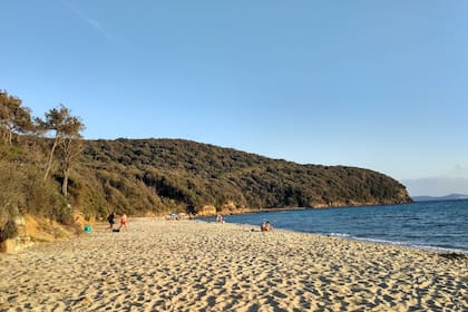 Cala Violina es uno de los mejores secretos que esconde la Toscana. ¡Playa de arena en el corazón de una reserva natural!