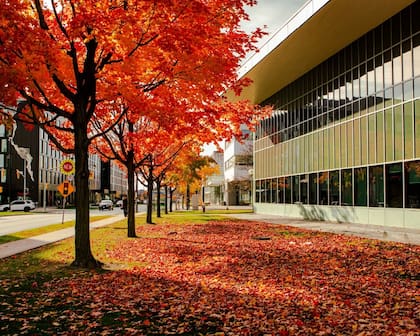 Cala emigró de Cuba en 1998 para estudiar periodismo en la Universidad de York, ubicada en Canadá