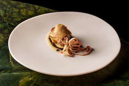 Calamar en su tinta, conchas y huitlacoche