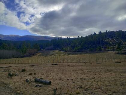 Calamuchita tiene una bodega está a 1280 metros de altura.