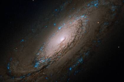 Caldwell 29, NGC 5005, es una galaxia en espiral que posiblemente tenga en su centro un agujero negro masivo