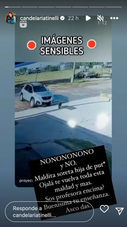 Calendaria Tinelli escrachó a la conductora del vehículo que atropelló a un perro en Marcos Juárez, Córdoba