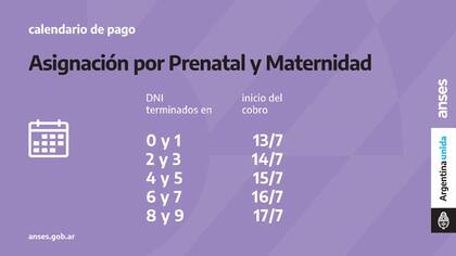 Calendario de pago de la Asignación por Prenatal y Maternidad de julio