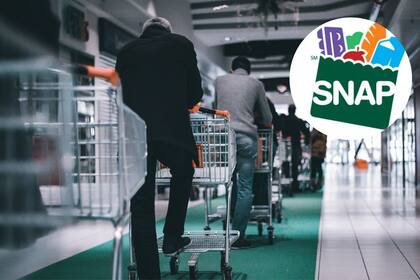 Calendario de pagos del programa SNAP en octubre (Unsplash/SNAP)