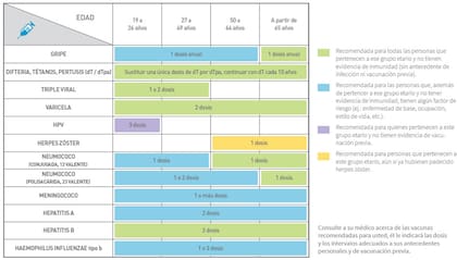 Calendario de vacunación para adultos elaborado por Stamboulian Servicios de Salud