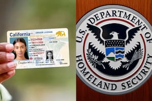 California compartirá los datos de las licencias de conducir de inmigrantes