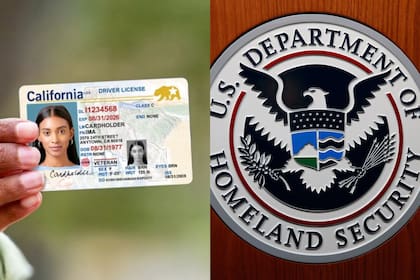 California compartirá datos de licencia de conducir de migrantes en un sistema al que tendrá acceso el DHS