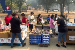 Dónde entregan comida gratis durante la semana del 2 al 7 de febrero de 2026