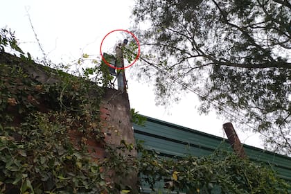 Cámaras instaladas por contrabandistas sobre el límite internacional