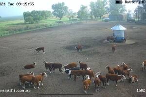 Cámaraswifi presenta su nuevo modelo de sistemas autónomos.