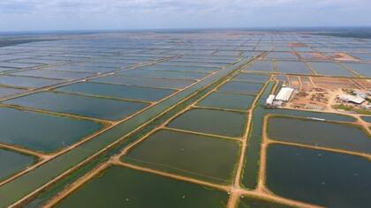 Camaroneras en el Lago de Maracaibo