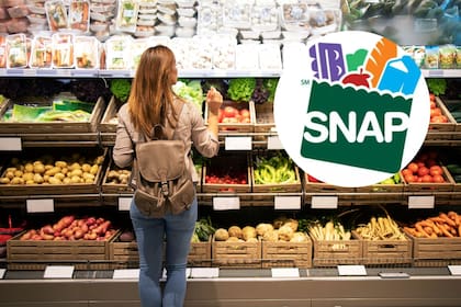 Cambian regla de 80 horas mensuales para beneficiarios del programa SNAP (Freepik/SNAP)