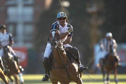 Cambiaso el señor de los caballos