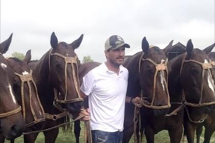 Cambiaso se destaca como polista pero también como criador