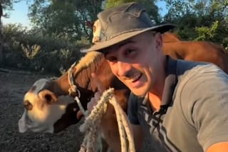 El “gaucho” de TikTok: tiene 27 años, abandonó la ciudad y sus videos con las vacas son furor