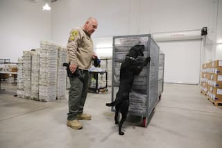 Cambios en agencia a cargo de seguridad electoral generan inquietud por elecciones intermedias