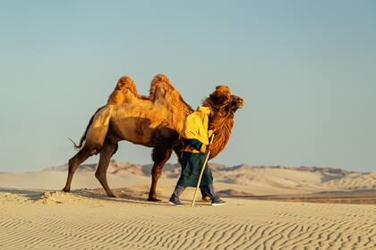 Camello y su guía en las dunas del parque temático cerca de Ica.