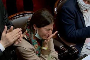 Una diputada que sufrió la muerte de su bebé y tiene internado a su otro hijo fue homenajeada en la votación del Presupuesto