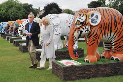Camilla y su hermano menor, Mark, recorren la exhibición “El desfile del elefante”, organizada en 2010 en los jardines del Hospital Chelsea. La iniciativa incluyó esculturas de elefantes realizadas por distintos artistas.
