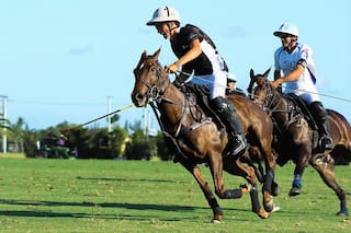 Polo 2020: la Triple Corona ya palpita el choque entre Cambiaso y sus sobrinos