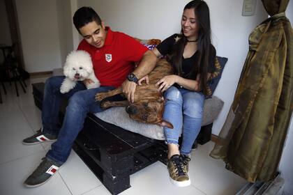 Camilo García y Natalia Gutiérrez brindan alojamiento esta semana a un caniche y un pitbull