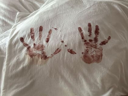 Camilo y Evaluna compartieron las primeras imágenes de Amaranto