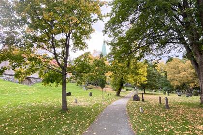 Caminando por Trondheim.