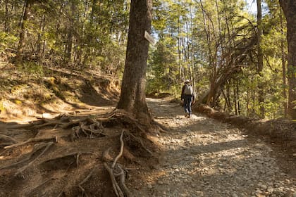 Caminar al Cajón Azul, una experiencia ideal para relajarse